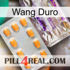 Hard Wang new12
